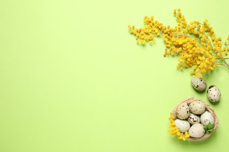 Easter flat lay composition with mimosa flowers and quail eggs on green background. Space for textの写真素材