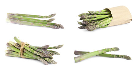 Set of fresh raw asparagus on white backgroundの写真素材
