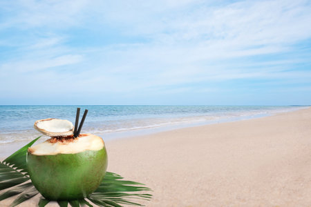 Green coconut with refreshing drink and palm leaf on sandy beach near sea, space for textの写真素材