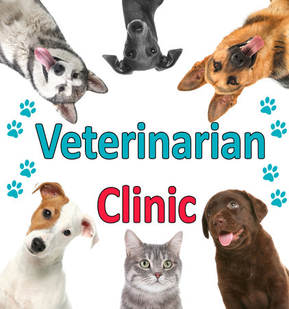 Collage with different cute pets and text Veterinarian Clinic on white backgroundの写真素材
