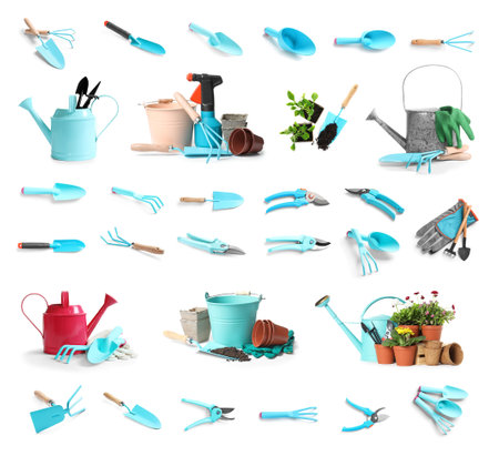 Set of gardening tools and different seedlings on white backgroundの写真素材