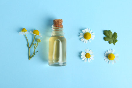 Flat lay composition with chamomile essential oil on light blue backgroundの写真素材
