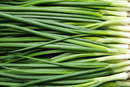 Fresh green spring onions as background, top viewの写真素材