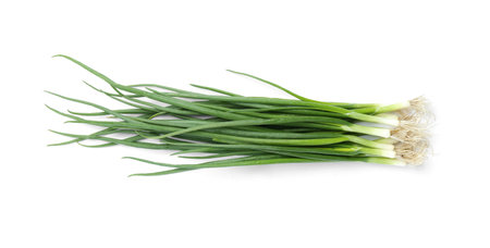 Fresh green spring onions isolated on white, top viewの写真素材