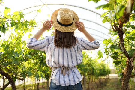 Woman among cultivated grape plants in greenhouseの写真素材