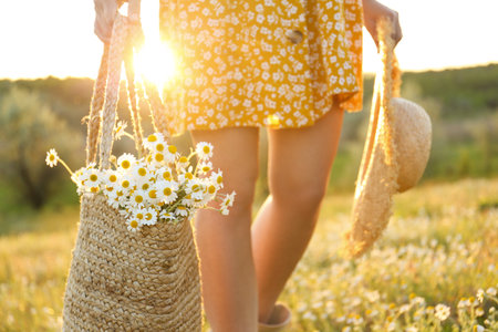 Woman with straw hat and handbag full of chamomiles walking in meadow, closeupの写真素材