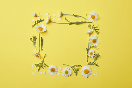 Frame made with fresh chamomiles on yellow background. Space for text