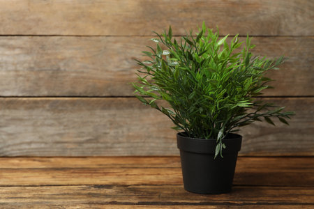 Artificial plant in black flower pot on wooden table. Space for textの写真素材