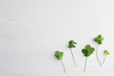 Clover leaves on white wooden table, flat lay with space for text. St. Patrick's Day symbolの写真素材