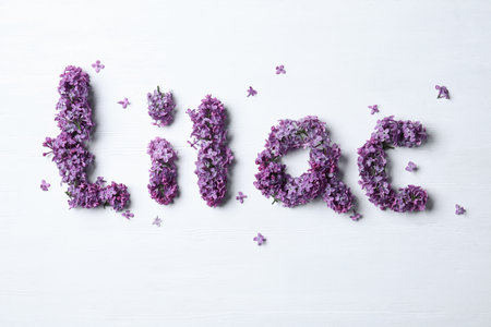 Word LILAC made with beautiful purple flowers on white wooden background, flat layの写真素材