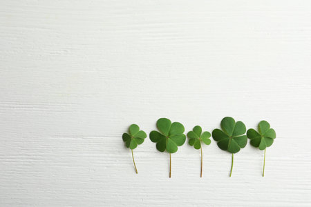 Clover leaves on white wooden table, flat lay with space for text. St. Patrick's Day symbolの写真素材