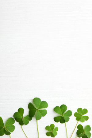 Clover leaves on white wooden table, flat lay with space for text. St. Patrick's Day symbolの写真素材