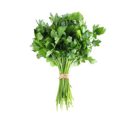 Bunch of fresh green parsley isolated on whiteの写真素材