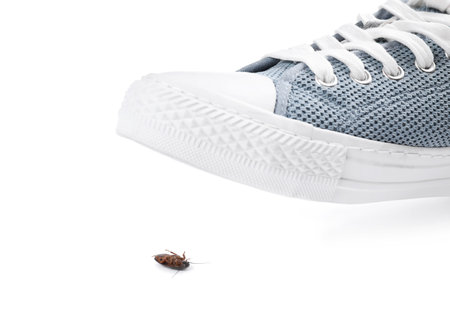 Person crushing cockroach with feet on white background, closeup. pest control