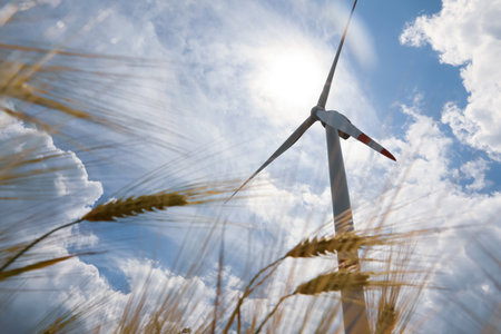 Modern wind turbine and wheat against cloudy sky, low angle view. alternative energy sources