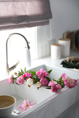 Bunch of beautiful peonies in kitchen sinkの写真素材