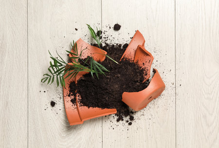 Broken terracotta flower pot with soil and plant on wooden background, flat lay
