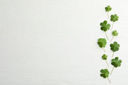 Clover leaves on white wooden table, flat lay with space for text. St. Patrick's Day symbolの写真素材