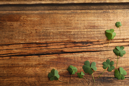 Clover leaves on wooden table, flat lay with space for text. St. Patrick's Day celebrationの写真素材