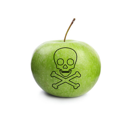 Green poison apple with skull and crossbones image on white backgroundの写真素材