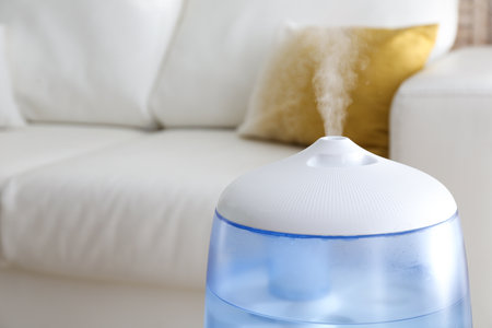 Modern air humidifier at home, closeup view. Space for text