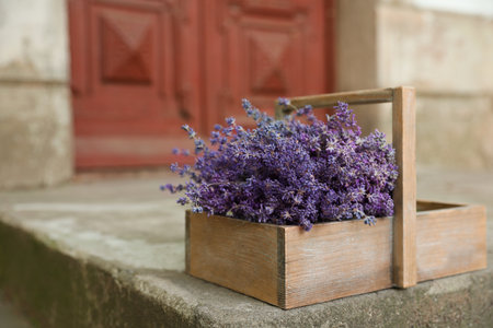 Wooden basket with lavender flowers near building outdoorsの写真素材