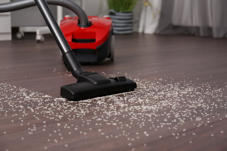 Vacuuming scattered rice from wooden floor in roomの写真素材