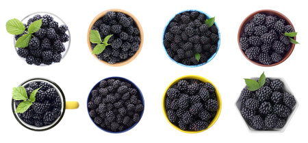 Set of ripe blackberries on white background, top view. Banner design