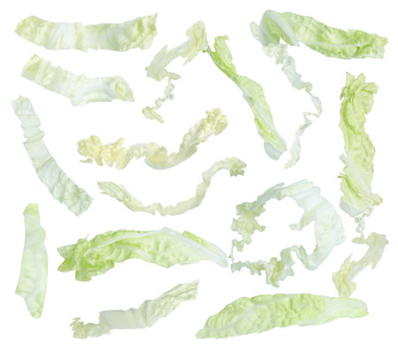 Fresh cut Chinese cabbage leaves falling on white backgroundの写真素材