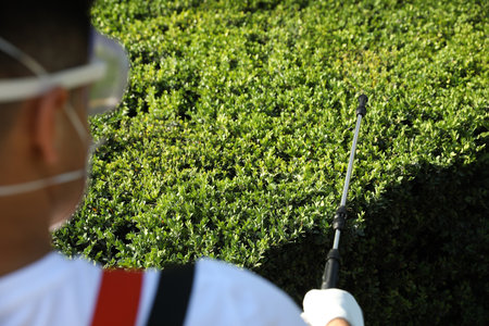 Worker spraying pesticide onto green bush outdoors, closeup. pest controlの写真素材