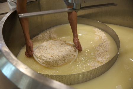 Worker taking curd from tank at cheese factory, closeup