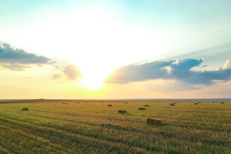 Green mowed field with hay blocks outdoors on sunny day. agricultural industry