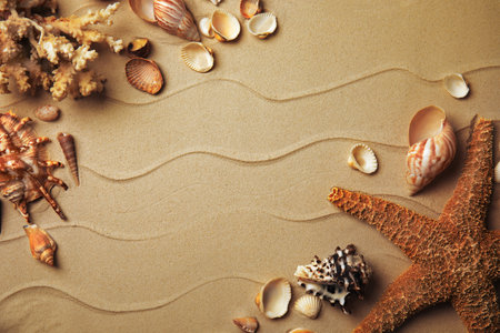 Different beautiful sea shells on sand, flat lay. Space for text