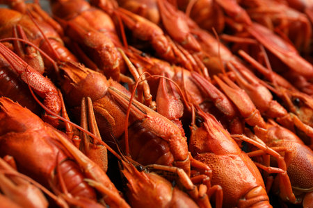 Delicious boiled crayfishes as background, closeup viewの写真素材