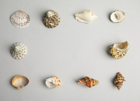 Frame made with different sea shells on light gray background, flat lay. Space for text