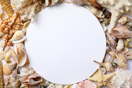 Different beautiful sea shells and blank card, flat lay. Space for text
