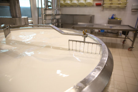 Milk in curd preparation tank at cheese factoryの写真素材