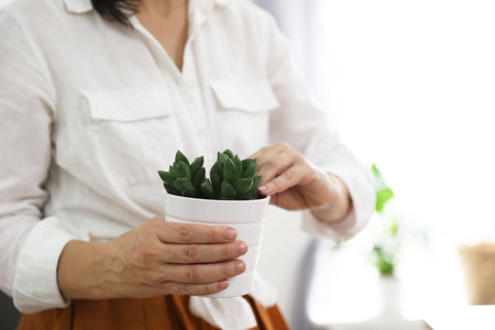 Woman with succulent plant at home, closeup. Engaging hobbyの写真素材