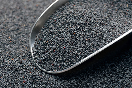 Poppy seeds and metal scoop, closeup viewの写真素材
