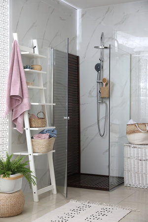 Bathroom interior with shower stall and shelving unit. Idea for design