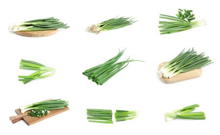 Collage with green spring onions on white backgroundの写真素材