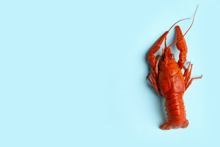 Delicious boiled crayfish on light blue background, top view. Space for text