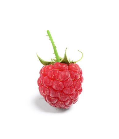Delicious fresh ripe raspberry isolated on white