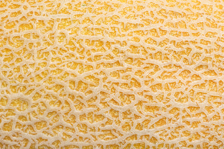 Whole tasty ripe melon as background, closeup