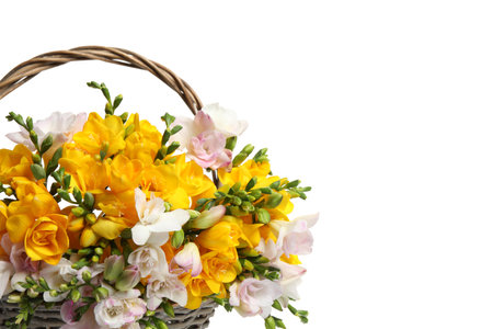 Beautiful blooming freesias in wicker basket on white background, closeupの写真素材
