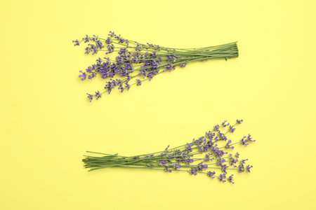 Beautiful lavender flowers on yellow background, flat lay. Space for text