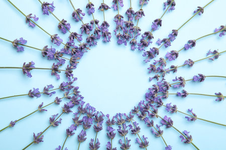 Frame with lavender flowers on light blue background, flat lay. Space for textの写真素材