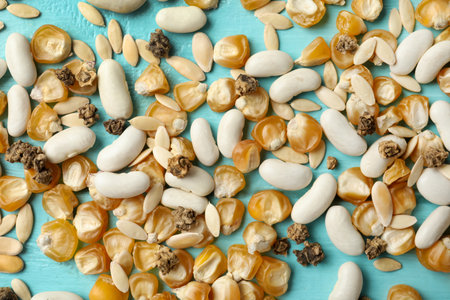 Mixed vegetable seeds on light blue wooden background, flat lay