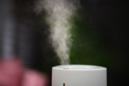 Modern air humidifier indoors, closeup. Space for text