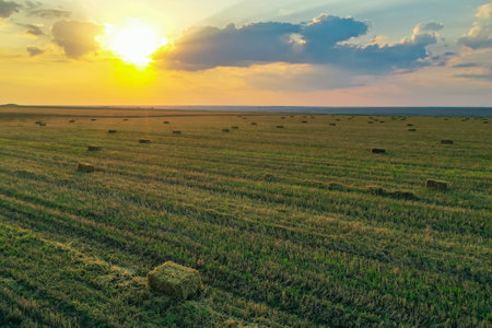 Green mowed field with hay blocks outdoors on sunny day. agricultural industryの写真素材